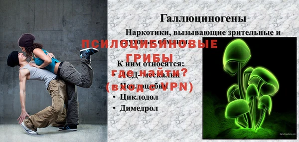 тгк Дмитров