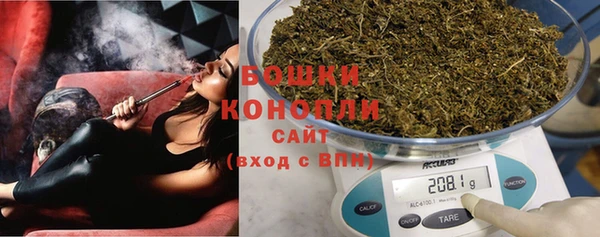 тгк Дмитров