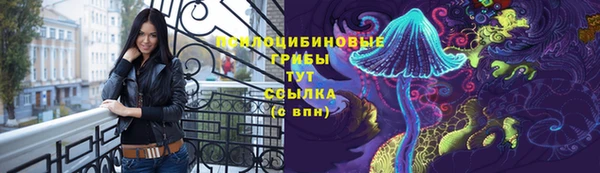 mdma Дмитриев