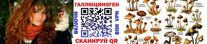 Псилоцибиновые грибы Psilocybine cubensis  цена   hydra ссылка  Жуковка 